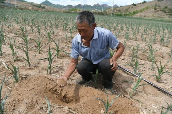 喝了甲维虫螨腈潜伏期多久 甲维虫螨腈虱螨脲主要打哪些虫