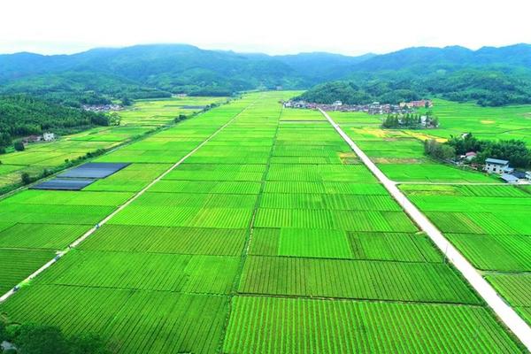 甲维毒死蜱防治对象 甲维毒死蜱能打白菜吗