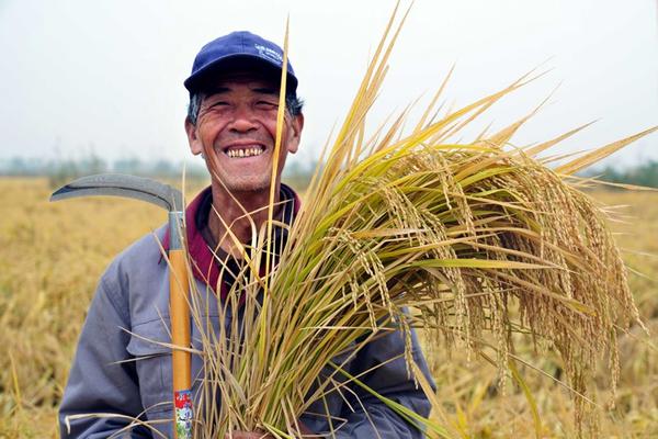 甲维盐吡虫啉防蓟马——高效、安全的农业保护方案