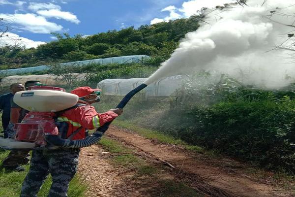 吡唑醚菌酯与丙环唑：两种农药的特性与应用研究