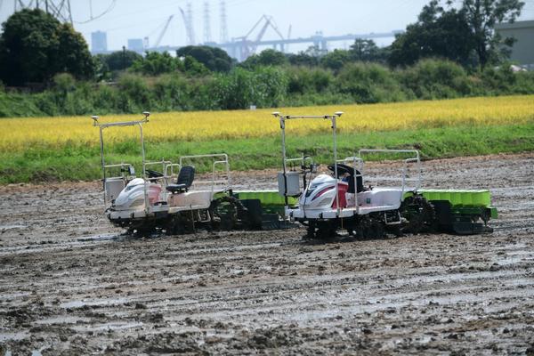 高效氟氯氰菊酯力克：农业保护的新希望