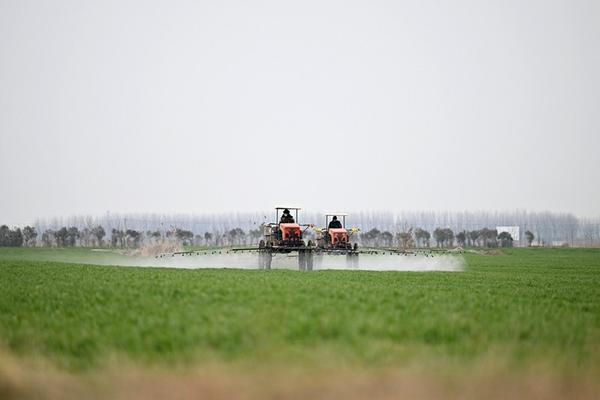 蜘蛛杀虫剂用什么好 农药杀虫剂哪个牌子效果好