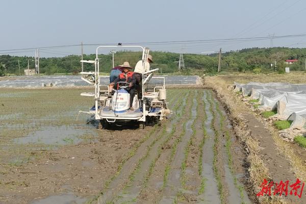 高氯甲维盐可以灌根吗 高氯甲维盐可以打辣椒吗