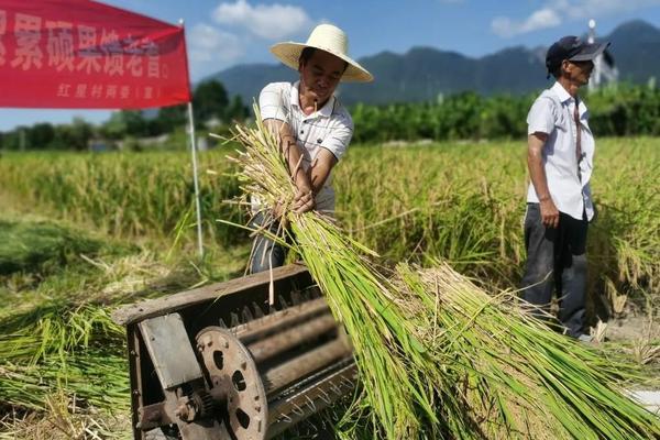 虫螨腈中毒有哪些症状 虫螨腈中毒指南