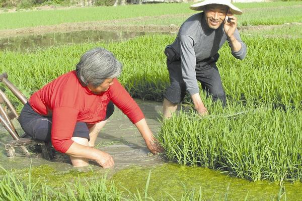 《漫威世界的双雄对决：多玛姆与灭霸的较量》