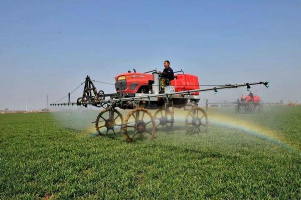 高效氯氟氰菊酯超功效：应用、影响及潜在风险探讨