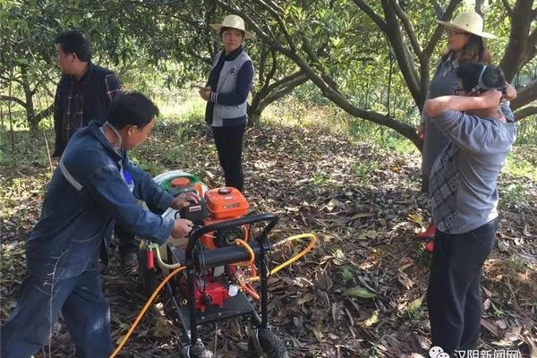 腈苯唑和苯醚甲环唑可以混用吗 乙蒜素可以和甲霜恶霉灵混用不