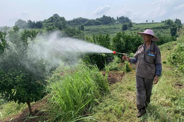 丙森锌和甲环唑能否混用？探究两种药物的相容性与使用注意事项