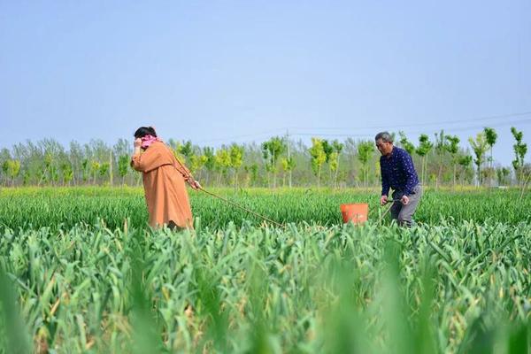 苯醚甲环唑防治对象表 苯醚甲环唑说明书