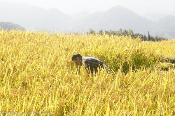 氯氟醚菌唑抑制生长吗 氟环唑杀菌剂治什么病最好