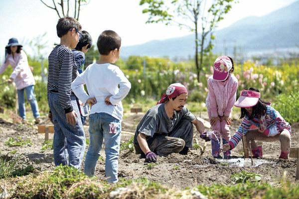 甲霜恶霉灵可以和生根粉一起用吗 甲霜恶霉灵防治兰花