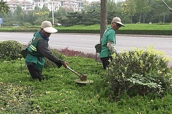 拟除虫菊酯类杀虫剂有哪些特点