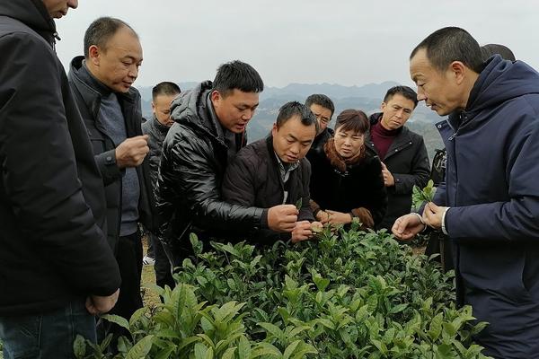 苯醚甲环唑多少浓度合适 苯醚甲环唑一克兑几斤水