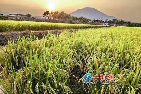 络氨铜和磷酸二氢钾可以混用吗 精甲霜灵能和磷酸二氢钾混配吗