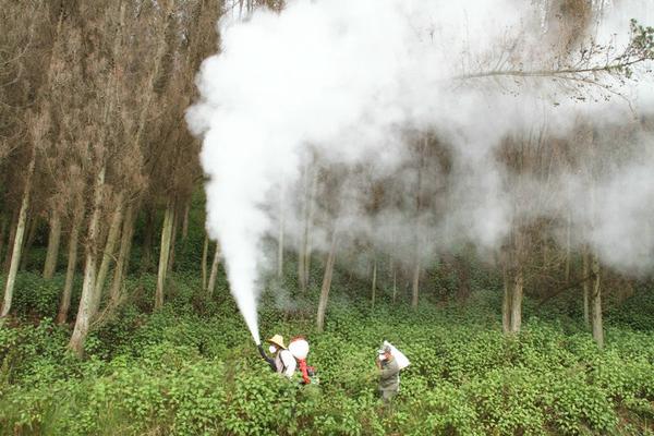 酸性农药和碱性农药可以混用吗