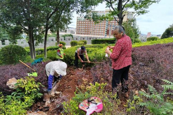 韭菜地用什么除草剂除阔叶草