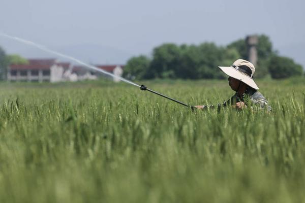 甲霜灵锰锌与噻菌铜混用的研究与应用