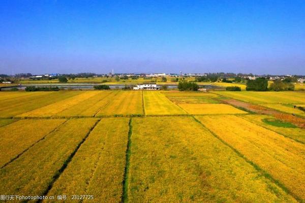 天津市华宇农药有限公司除草剂