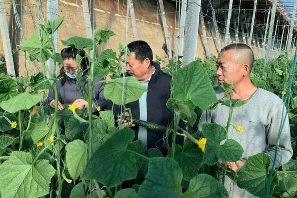 苯甲嘧菌酯与甲霜恶霉灵：植物病害控制的重要合作伙伴