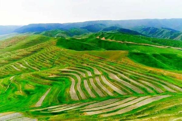 缩节胺滴入土壤里有用吗,缩节胺滴入土壤里有用吗有毒吗