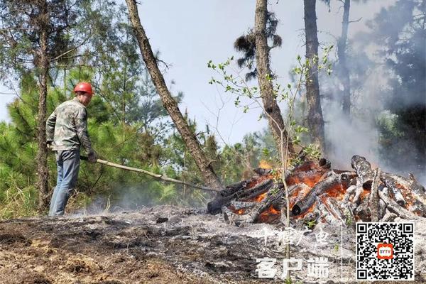 30甲霜恶霉灵在兰花的使用方法 3甲霜恶霉灵用法与用量