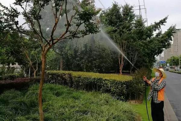 高效氯氟氰菊酯浇花会伤花吗 高效氯氟氰菊酯是什么