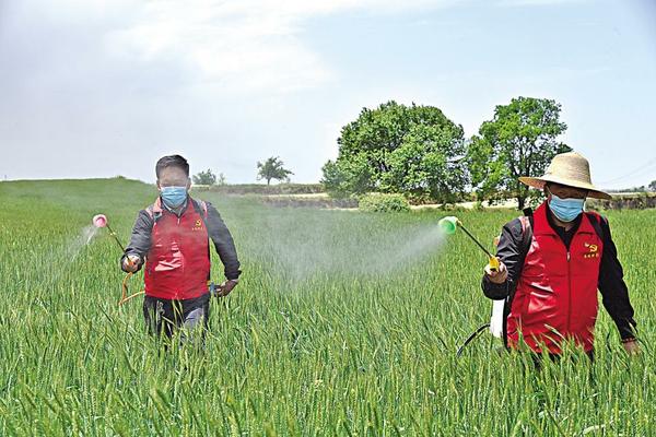 江苏徐州农药杀虫剂：农业守护者，健康生活的保障