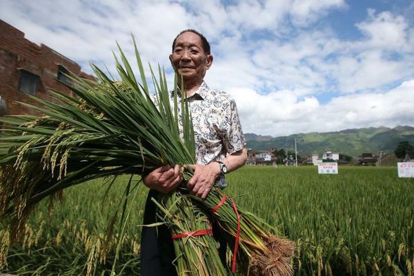 绿享春雷溴菌腈 春雷溴菌腈能治什么病