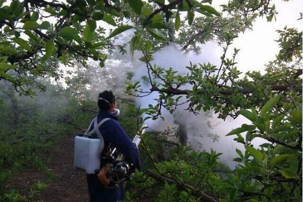 甲维盐原药多少钱一吨 甲维盐原药价格