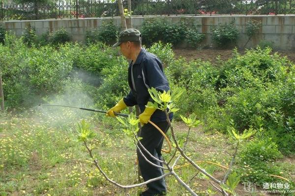 阿莫西林克拉维素甲——解析药物成分与治疗范围的重要性