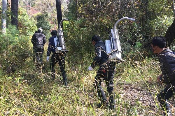 高氯甲维盐能打水稻吗 高氯甲维盐能致死吗