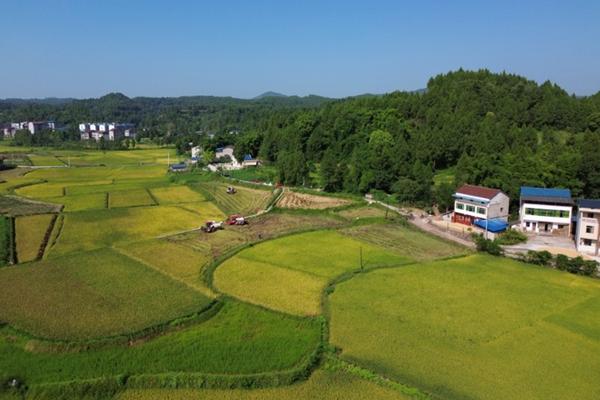 10克吡唑醚菌酯兑多少水 30%吡唑醚菌酯使用说明