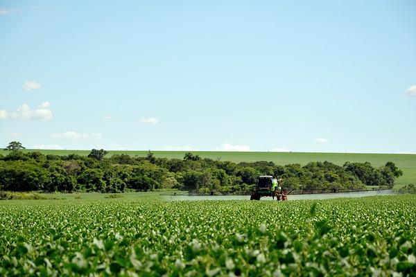 甲维茚虫威价格查询及详细信息