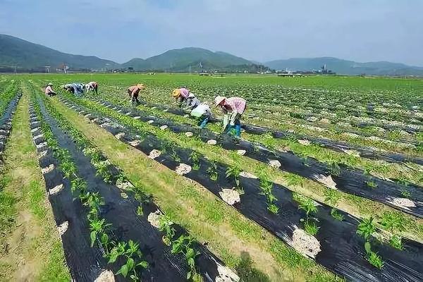 维甲钴胺片的主要治疗功效及其应用领域