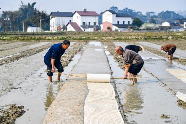 嘧菌百菌清与甲霜恶霉灵的联合应用：探究其协同作用及实际应用