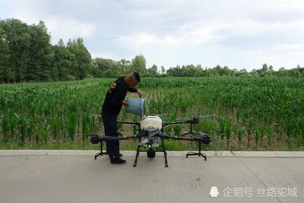 洗菜用什么去除农药残留最快