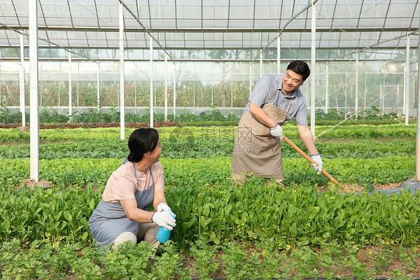 噻虫嗪属于有机磷农药吗 二嗪磷属于什么性质的农药