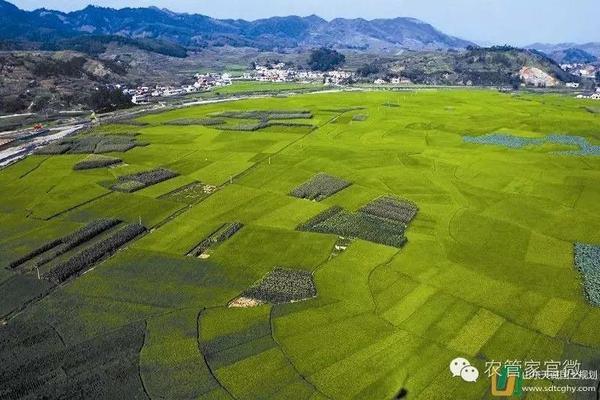 甲维盐使用方法 甲维盐虱螨脲防治对象