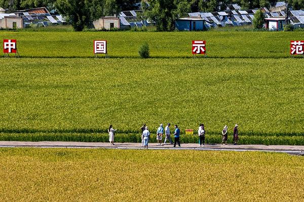 甲霜恶霉灵用量过多会怎么样 甲霜恶霉灵3%喷雾如何用量