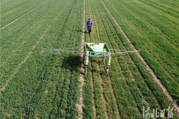 高效氯氟氰菊酯的光解：影响、过程和防治措施