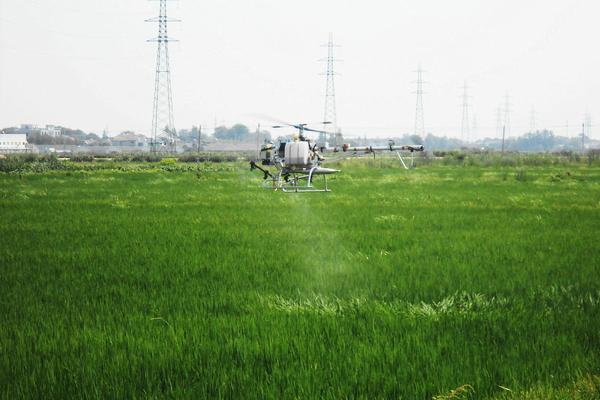 西瓜地苗后专用除草剂是什么